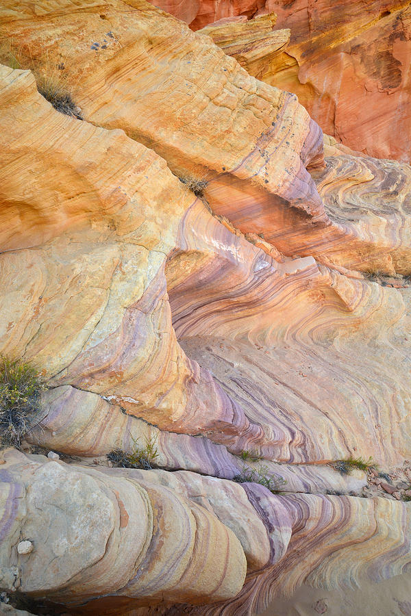 Valley of Fire #558 Photograph by Ray Mathis