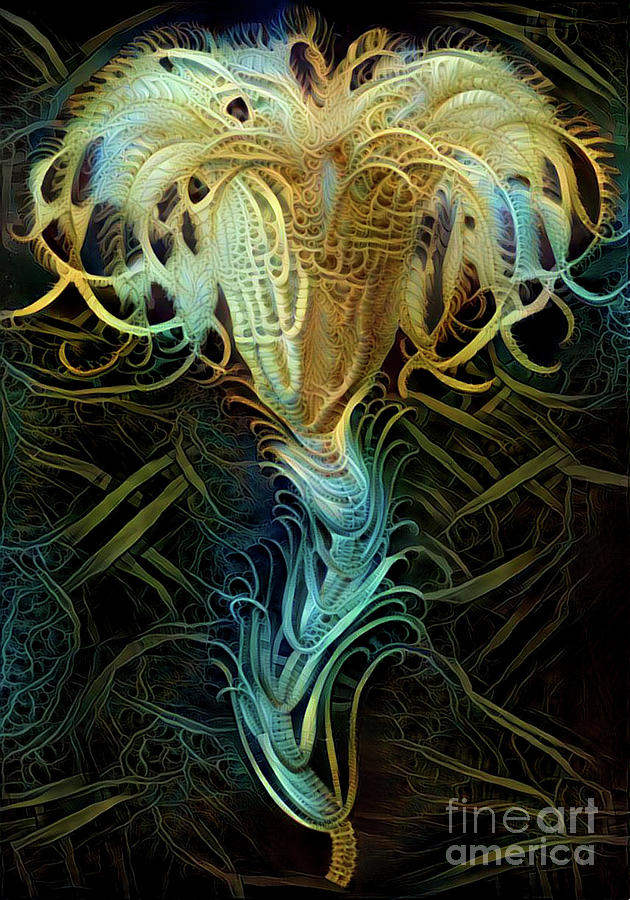 Abstract Jellyfish #57 Digital Art by Amy Cicconi