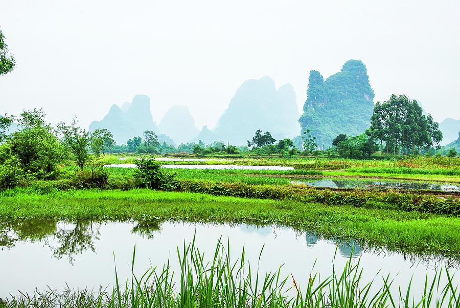 Karst rural scenery in spring #57 Photograph by Carl Ning