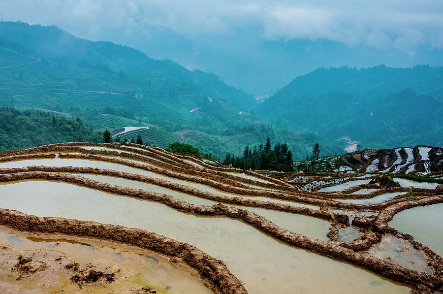 Longji terraced fields scenery #57 Photograph by Carl Ning
