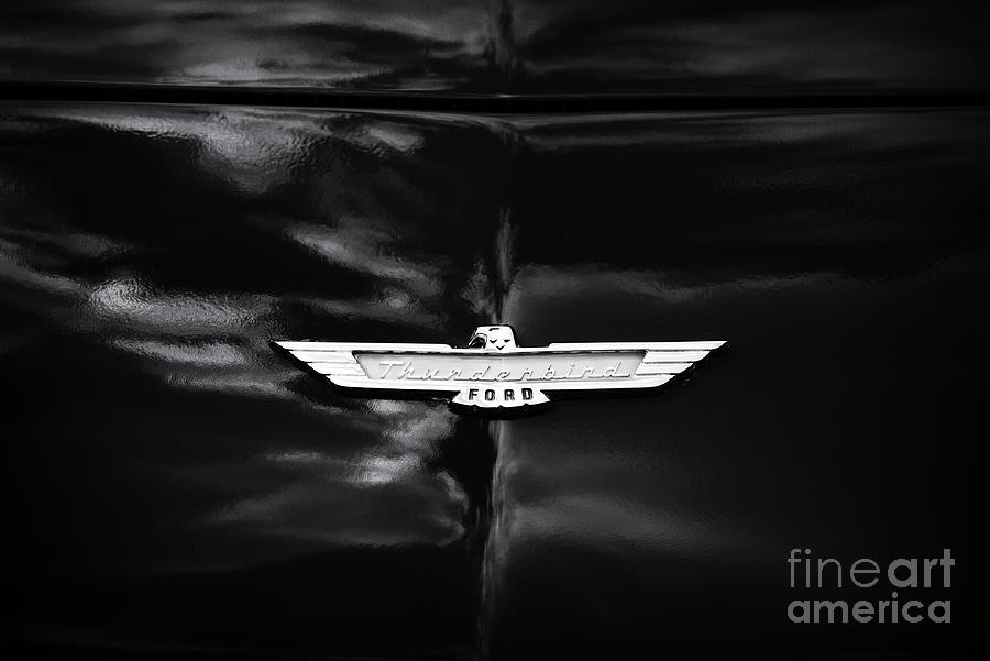 57 Thunderbird Photograph by Tim Gainey