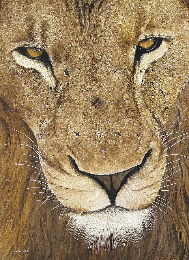 571 Lion Personal Touch Painting by Ron Waldeck - Fine Art America