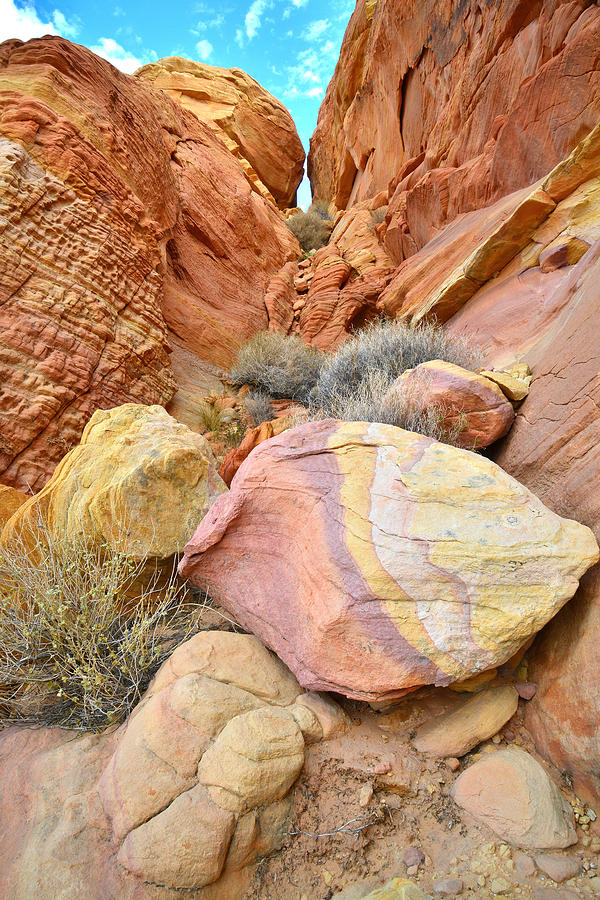 Valley of Fire #578 Photograph by Ray Mathis