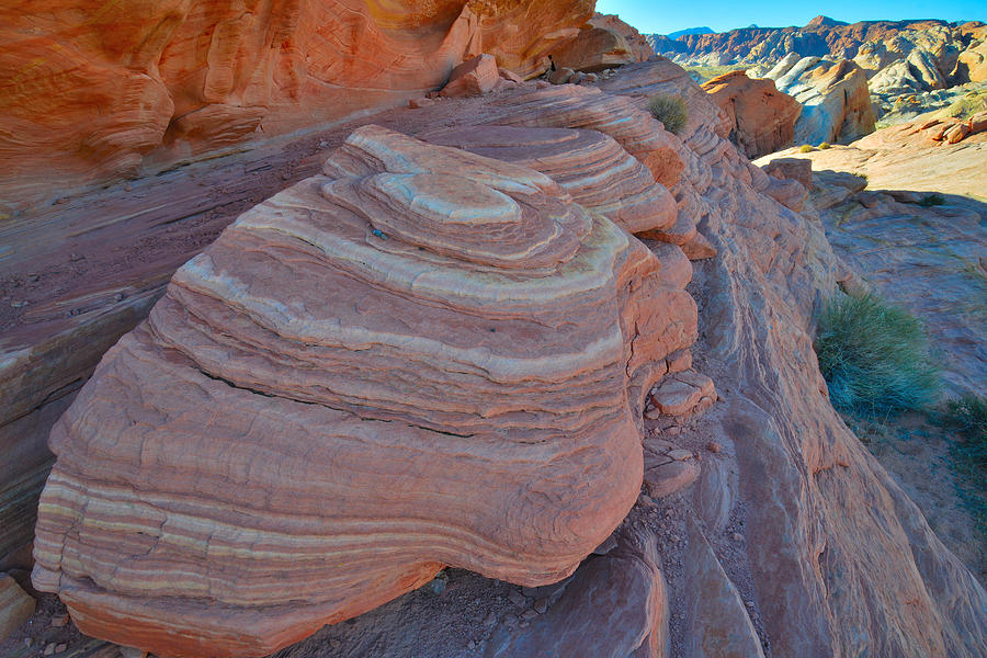 Valley of Fire #312 Photograph by Ray Mathis