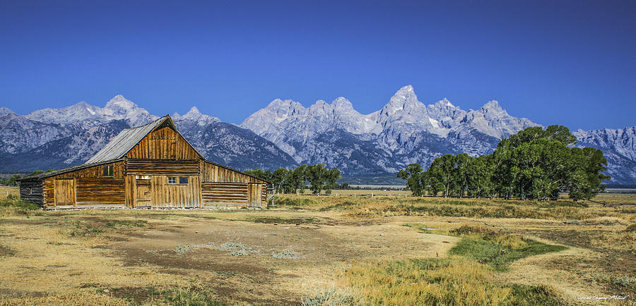 #5730 - Mormon Row, Wyoming Photograph by Heidi Osgood-Metcalf