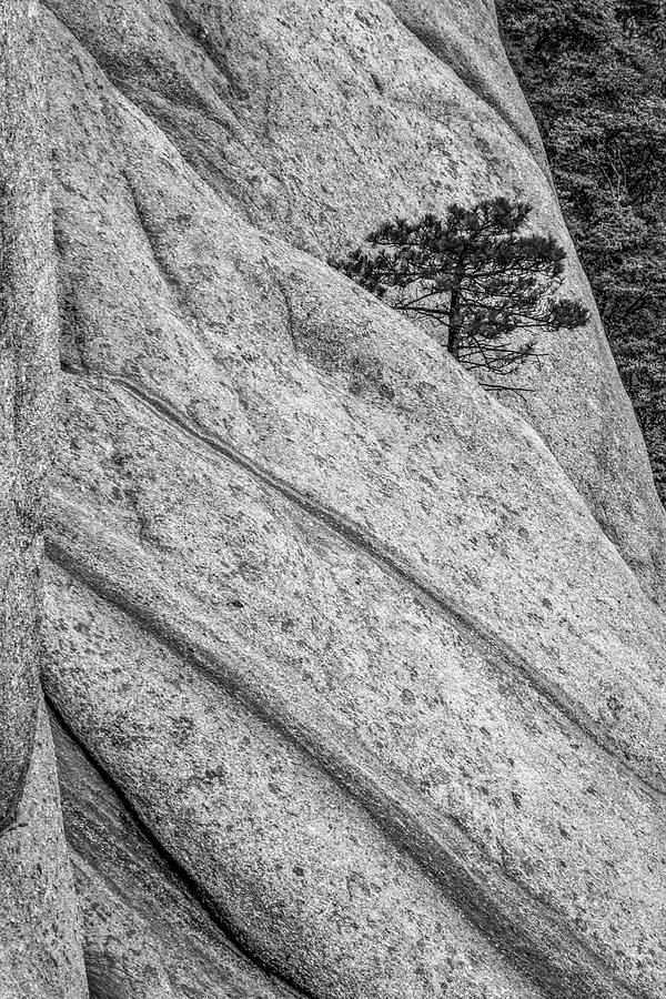 5754- Yellow Mountains Black And White Photograph