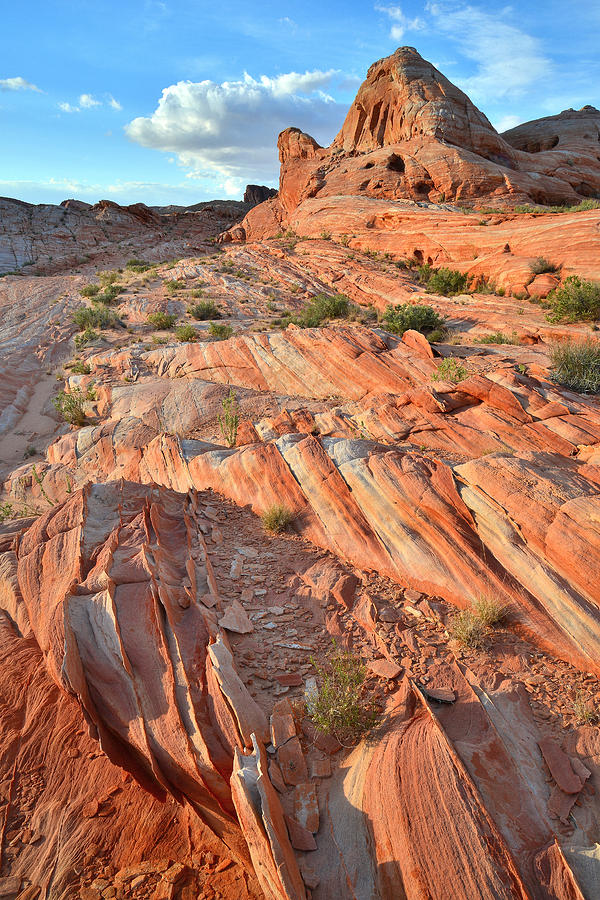 Valley of Fire #420 Photograph by Ray Mathis