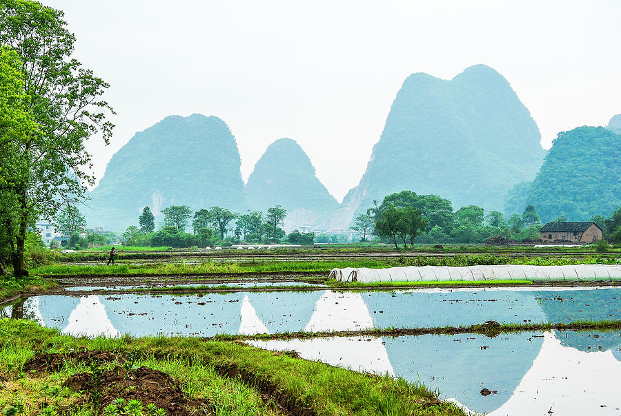 Karst rural scenery in spring #58 Photograph by Carl Ning