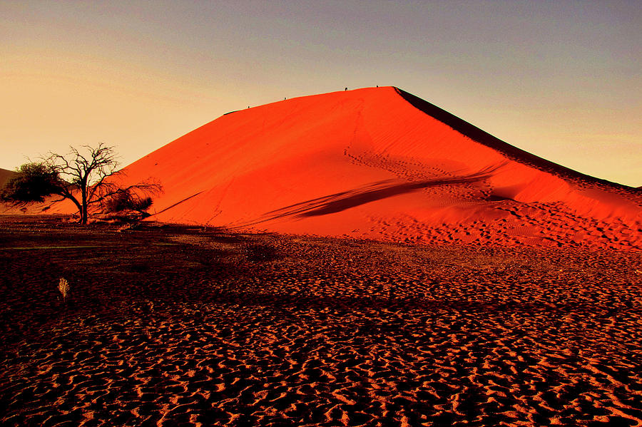 Namibia #58 Photograph by Paul James Bannerman