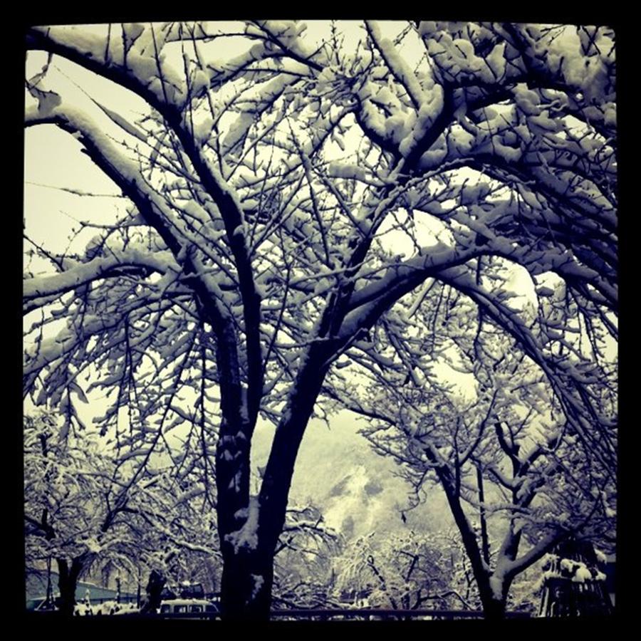 Instagram Photo Photograph by Masamichi Takano Instagram Photo Photograph by Masamichi Takano