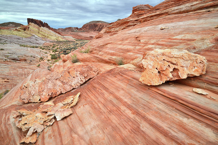 Valley of Fire #272 Photograph by Ray Mathis