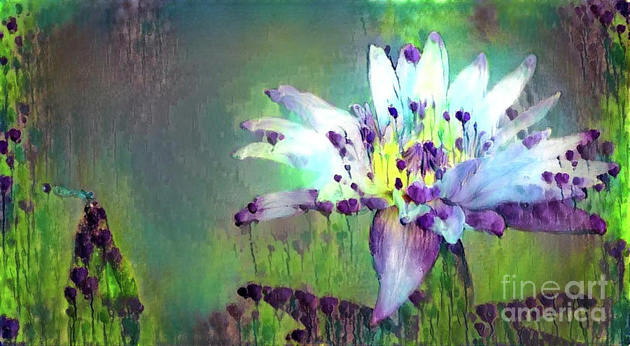 Jeweled Water Lilies #59 Digital Art by Amy Cicconi