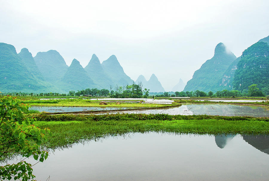Karst rural scenery in spring #59 Photograph by Carl Ning