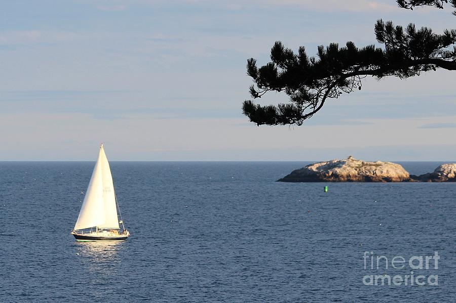 Marblehead MA #59 Photograph by Donn Ingemie