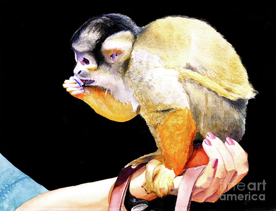 #59 Squirrel Monkey 2 #59 Painting by William Lum