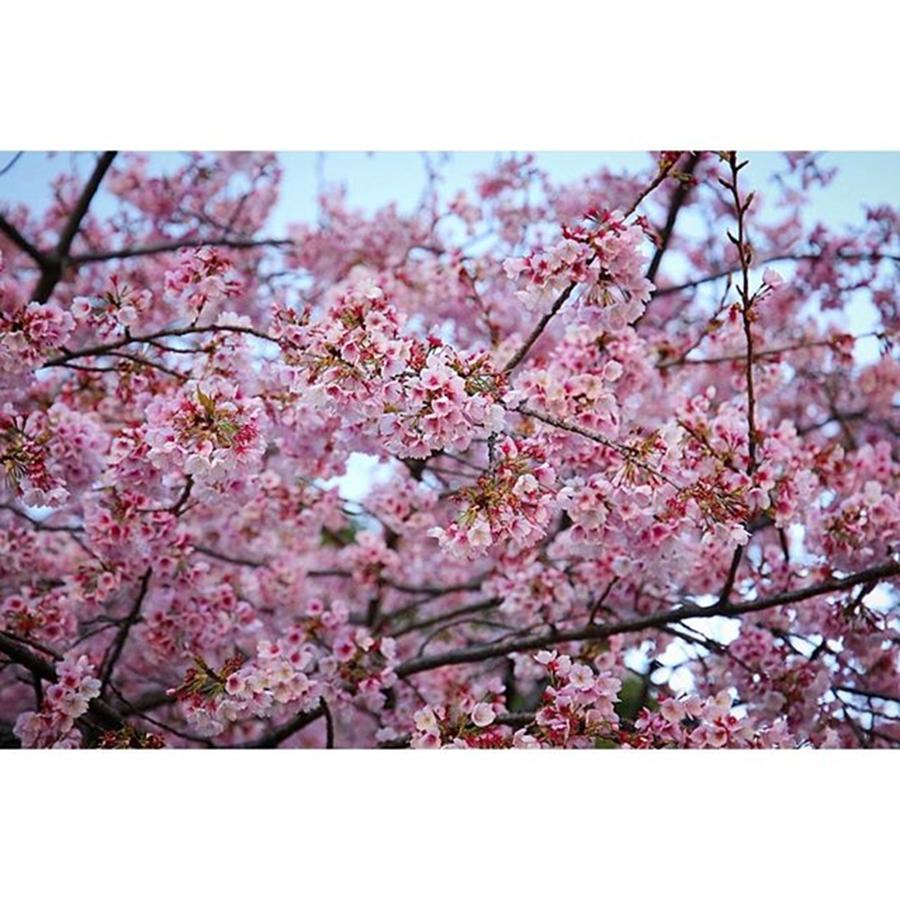 Tokyo Photograph - Instagram Photo #591458630811 by Hideki Sato