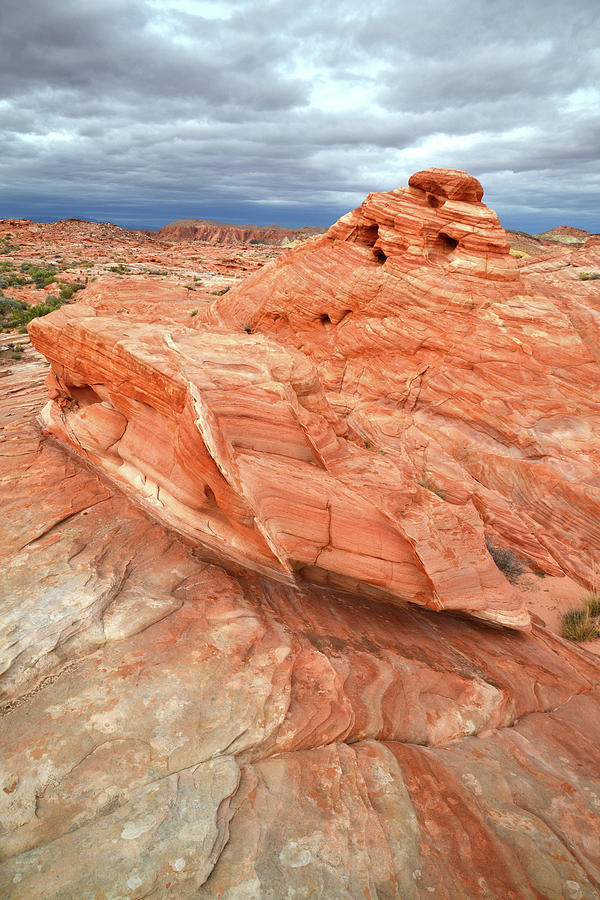 Valley of Fire #600 Photograph by Ray Mathis