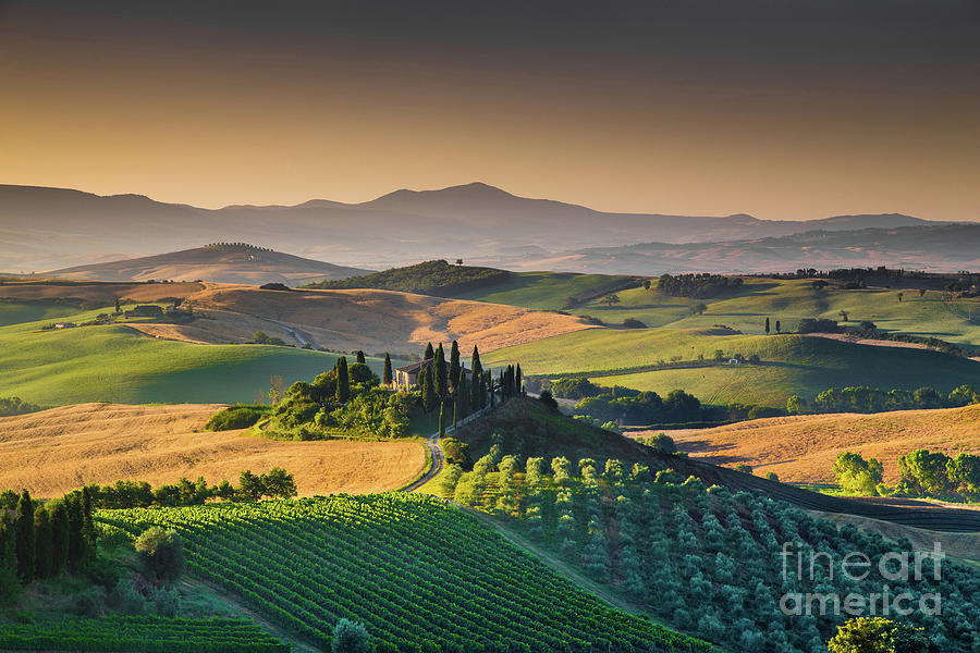 A Morning in Tuscany #6 Photograph by JR Photography