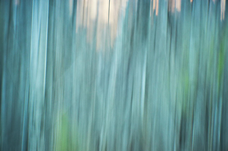 Abstract Digital Painting Of A Thick And Heavy Wooded Forest At  #6 Photograph by Alex Grichenko