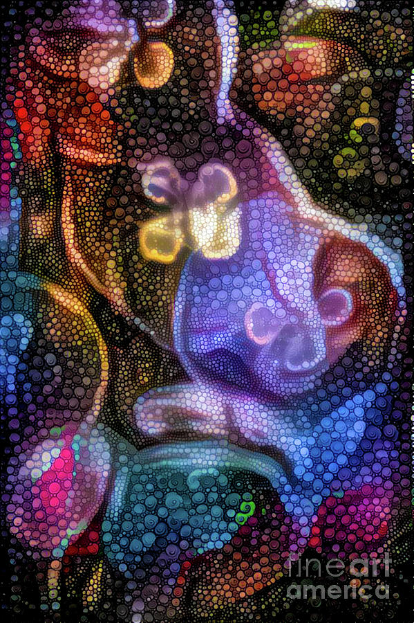 Abstract Jellyfish #6 Digital Art by Amy Cicconi