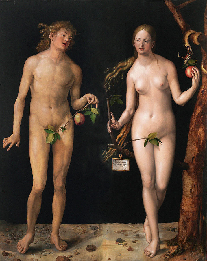 Nude Painting - Adam And Eve #6 by Albrecht Durer