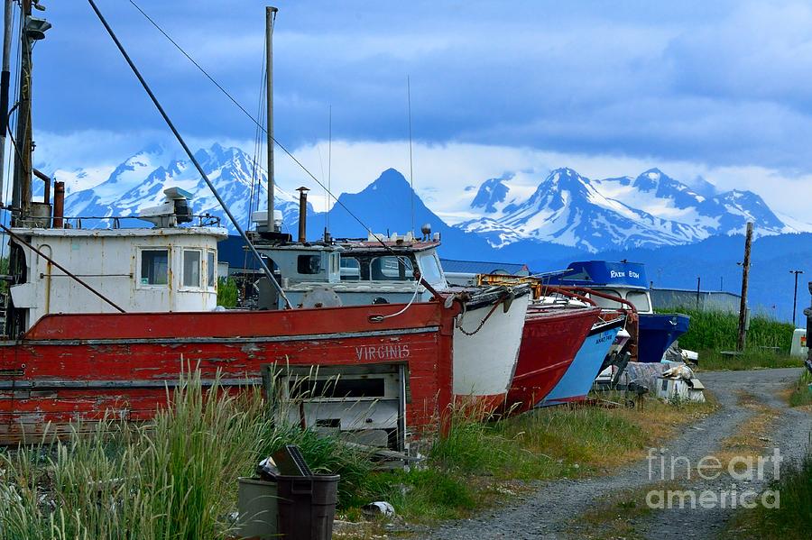 Alaska #6 Photograph by Marc Bittan
