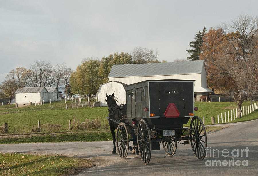 Amish Buggy #6 Photograph by David Arment