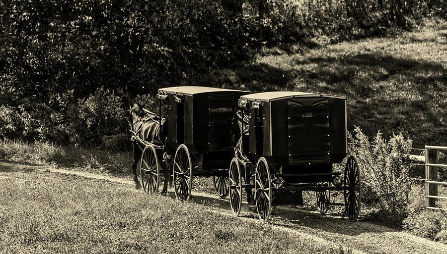 Transportation Photograph - Amish Country #6 by Mountain Dreams