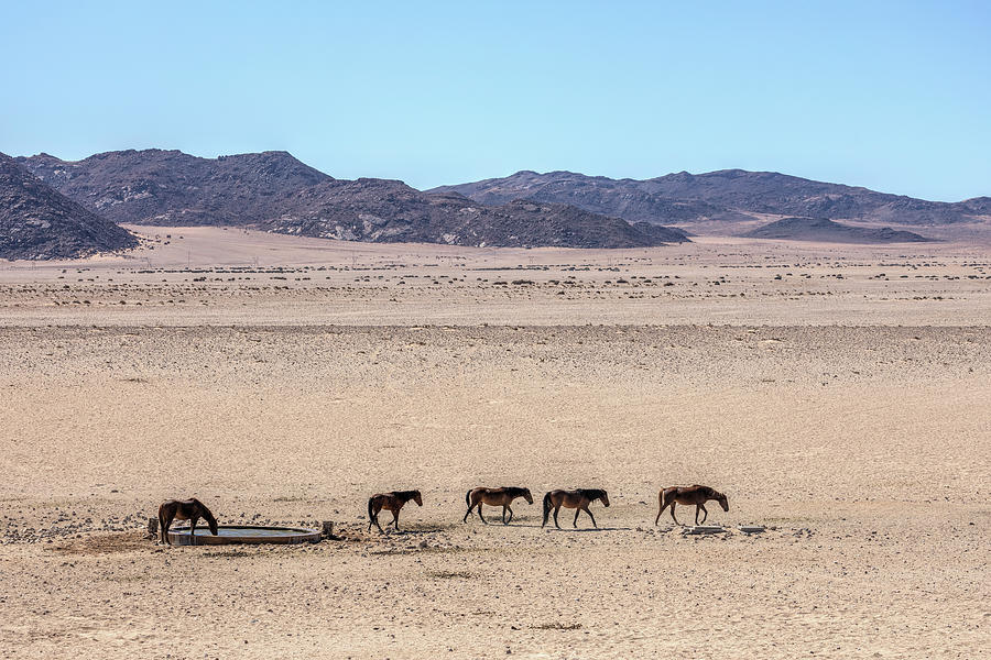 Aus - Namibia #6 Photograph by Joana Kruse