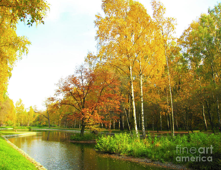 Autumn landscape #6 Photograph by Irina Afonskaya