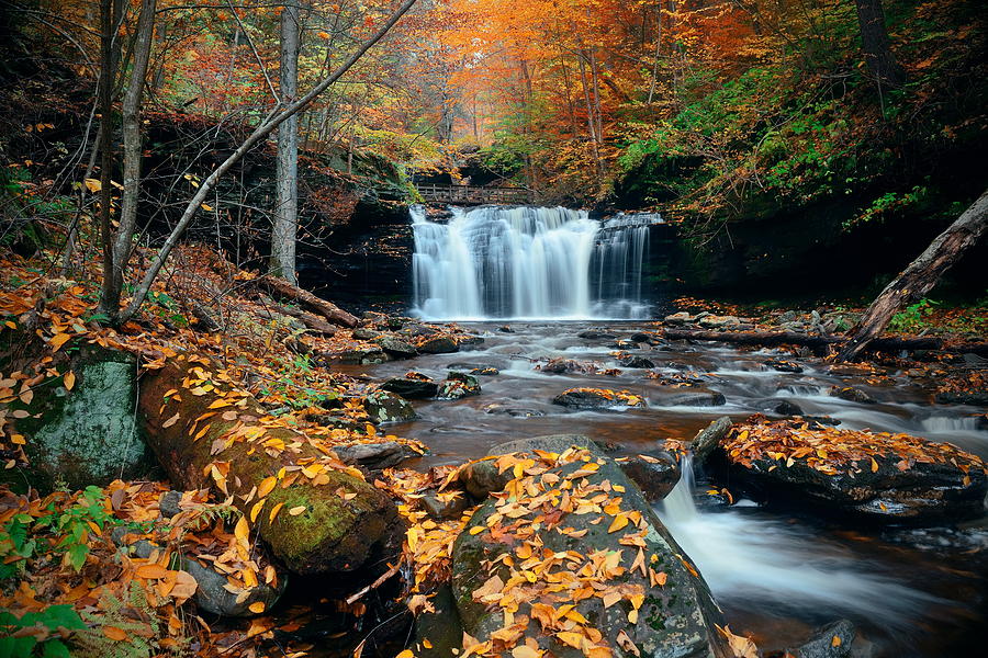 Autumn waterfalls #6 Photograph by Songquan Deng