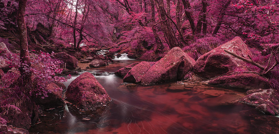 Spring Photograph - Beautiful landscape of surreal alternate colored landscape throu #6 by Matthew Gibson