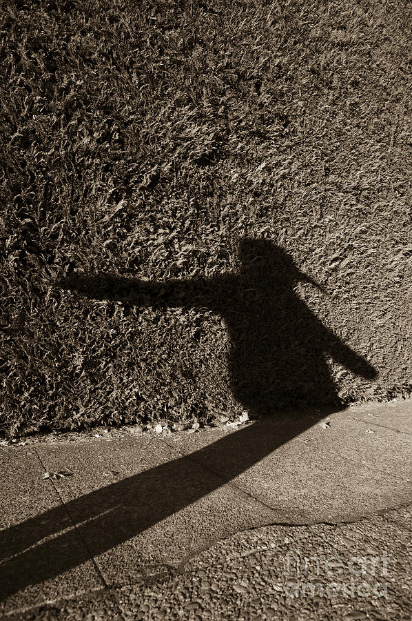 Bird Woman Silhouetted #6 Photograph by Jim Corwin