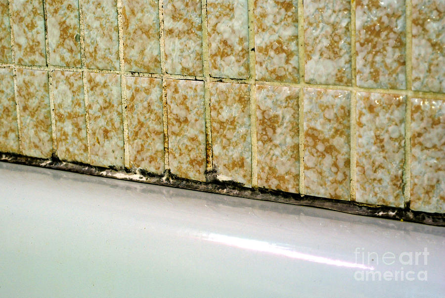 Black Mold On Bathtub Caulking #6 Photograph by Scimat