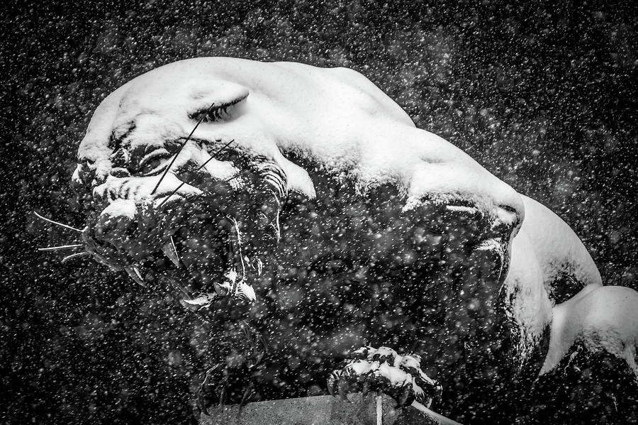 Black Panther Statue Seen Through Falling Snow Flakes #6 Photograph by Alex Grichenko