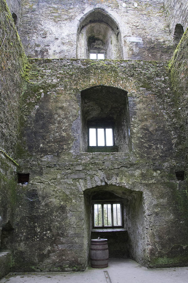 Blarney Castle Ireland #6 Photograph by Susan Jensen