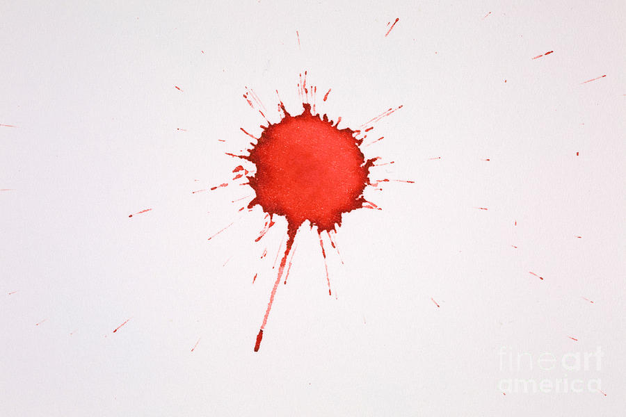Blood Droplet #6 Photograph by Ted Kinsman