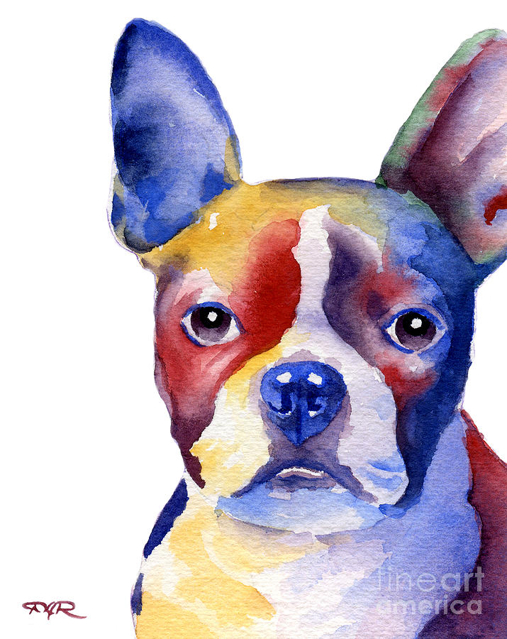 Boston Painting - Boston Terrier #5 by David Rogers