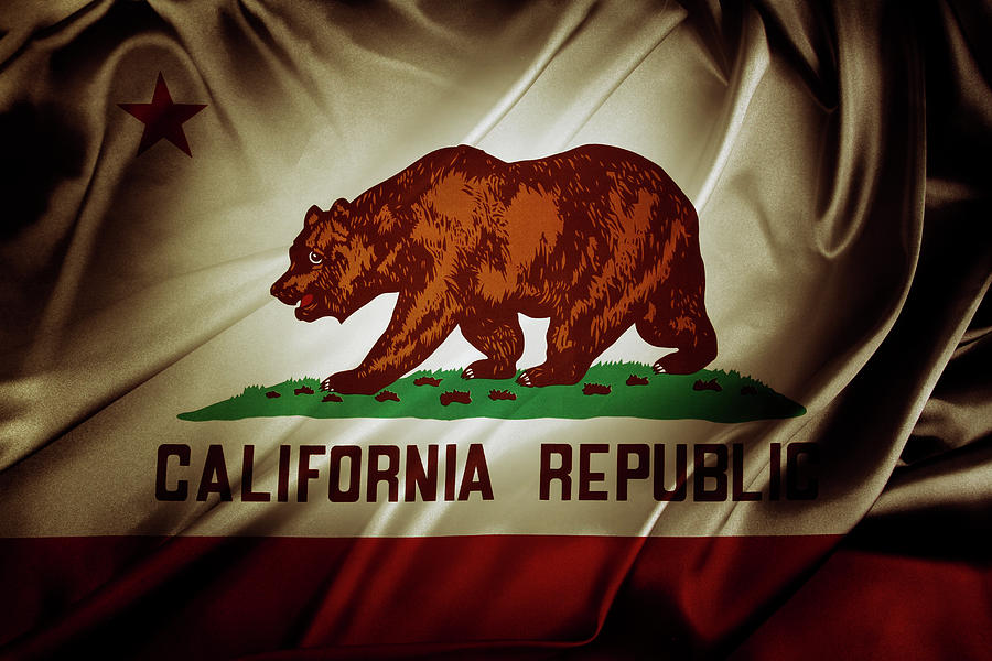 California flag #6 Photograph by Les Cunliffe