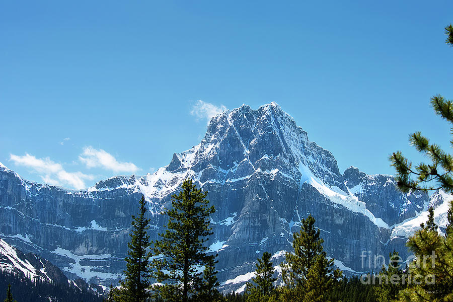 Canadian Rockies #6 Photograph by David Arment