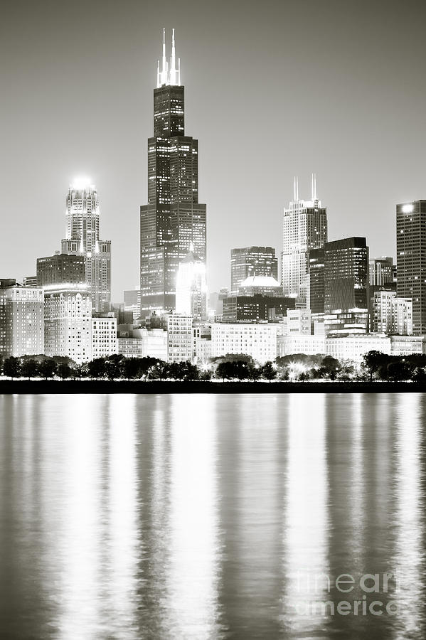 Chicago Photograph - Chicago Skyline at Night by Paul Velgos