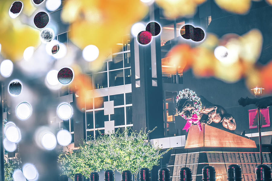 Christmas Decorations Around Carolina Panthers Stadium In Charlo