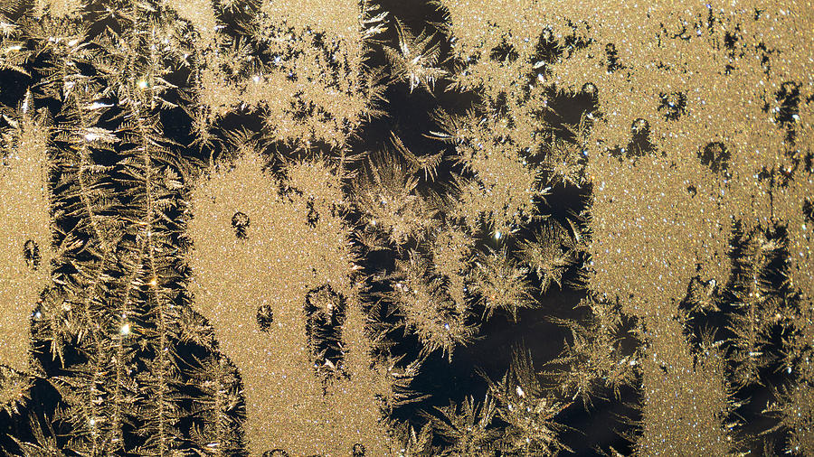 Winter Photograph - Christmas Window #6 by Tamara Sushko