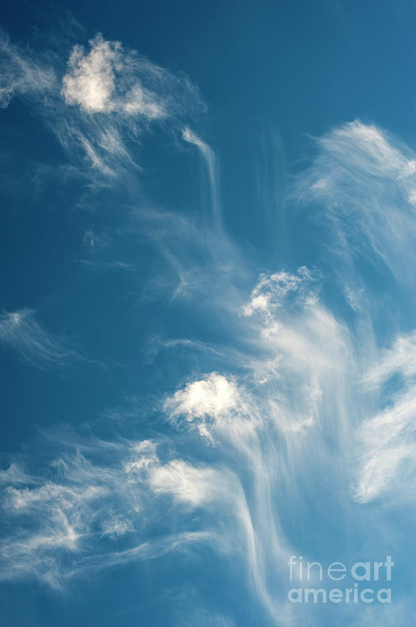 Cirrus Fibratus Fair Weather Clouds #6 Photograph by Jim Corwin