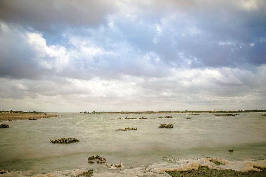 Coastal Landscape Near Padre Island Texas #6 Photograph by Alex Grichenko