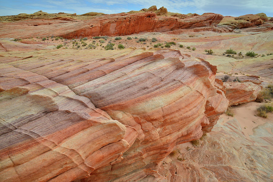 Colorful Valley of Fire State Park #6 Photograph by Ray Mathis