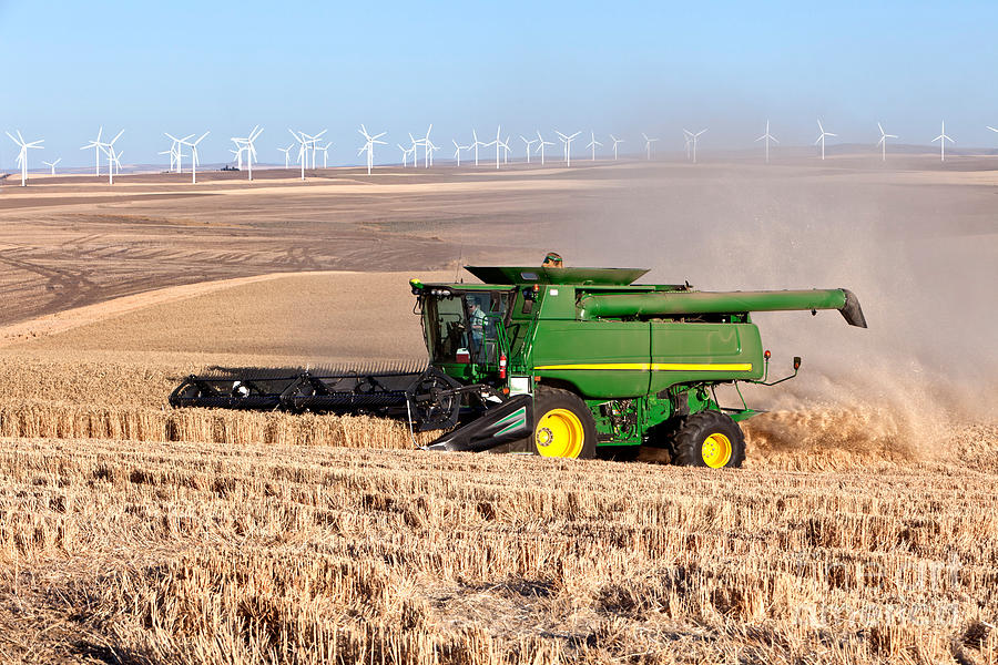Combine Harvesting Wheat #6 Photograph by Inga Spence