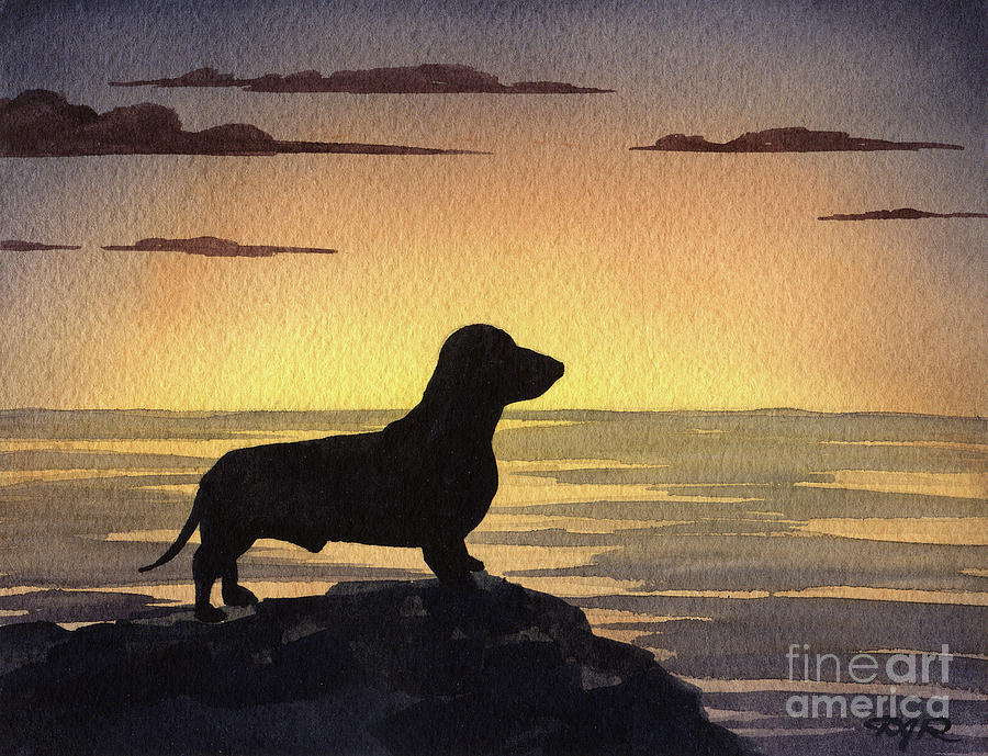 Sunset Painting - Dachshund at the Beach #5 by David Rogers