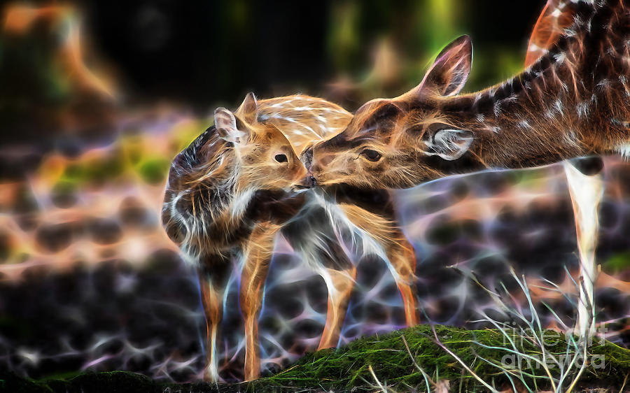 Deer Mixed Media - Deer #6 by Marvin Blaine