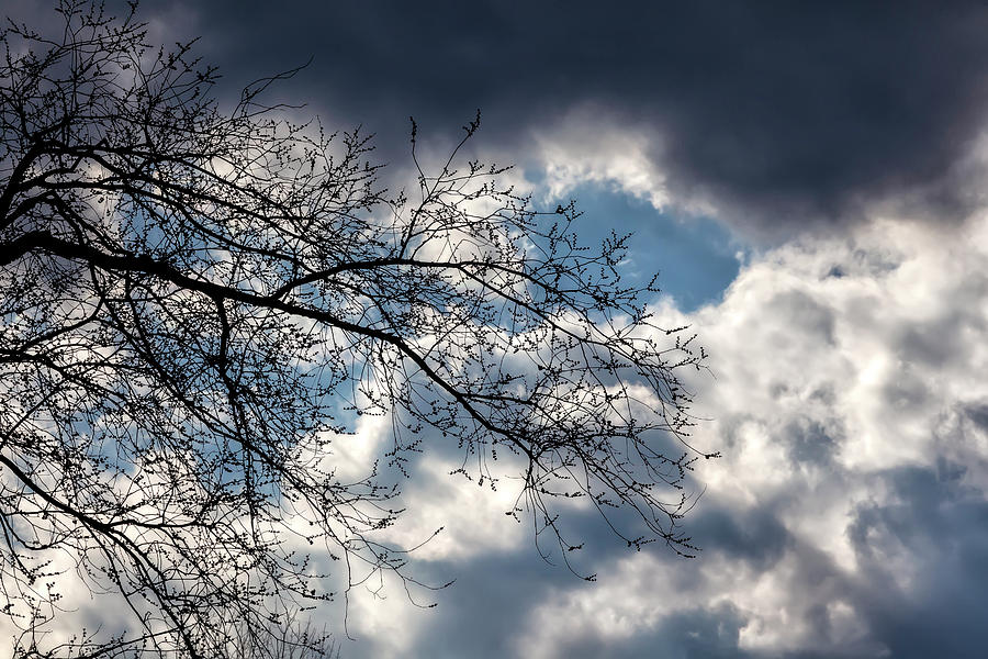 Dramatic Sky Clouds and Trees #6 Photograph by Robert Ullmann